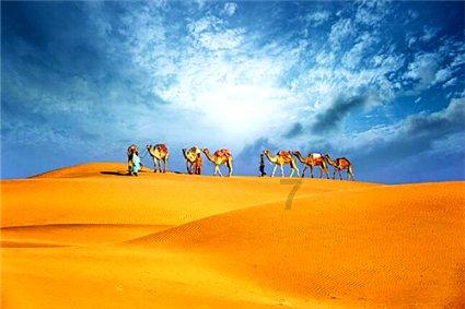 又加什么偏旁可以跟什么持组词? - 快速智慧问答